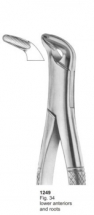  Fig. 34 lower anteriors and roots 